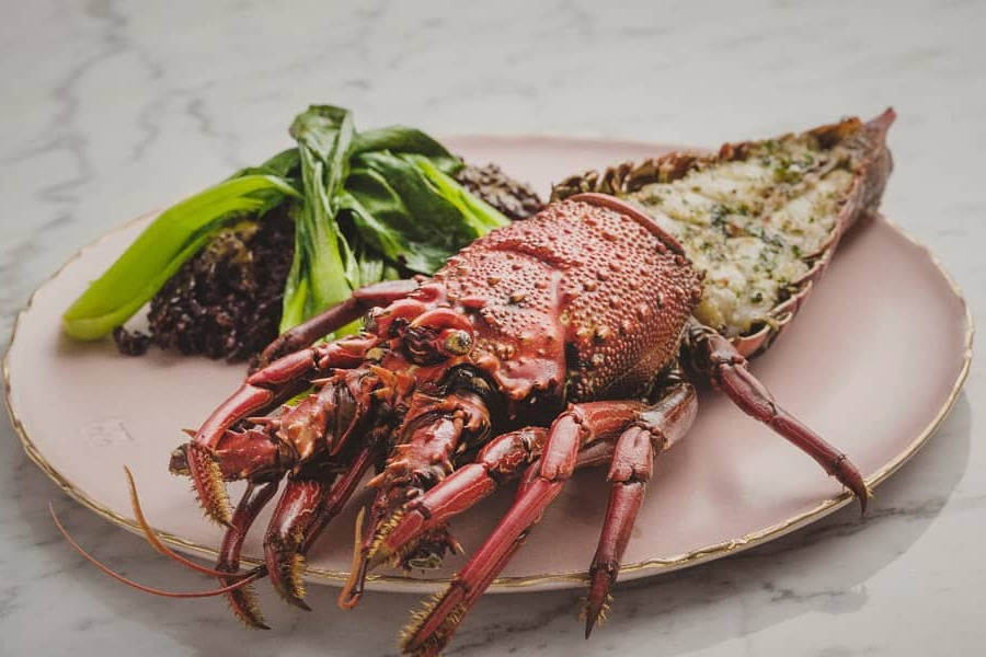 restoran di jakarta untuk christmas dinner - lume