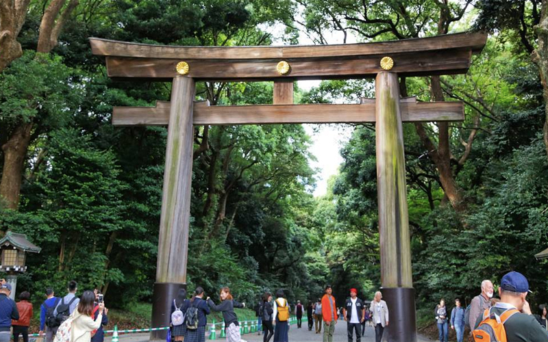 Destinasi Wisata Tokyo Yoyogi Park