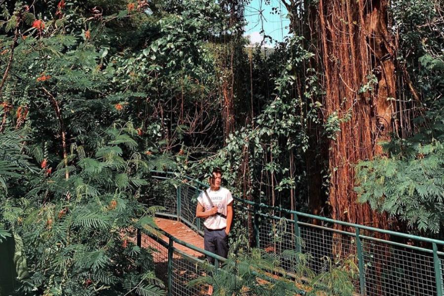 Tempat Instagrammable di Forest Walk