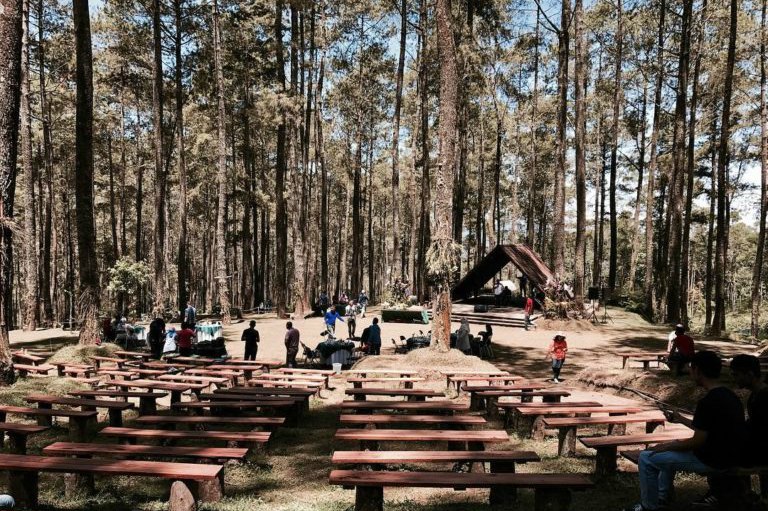 Tempat Instagrammable di Orchid Forest Cikole