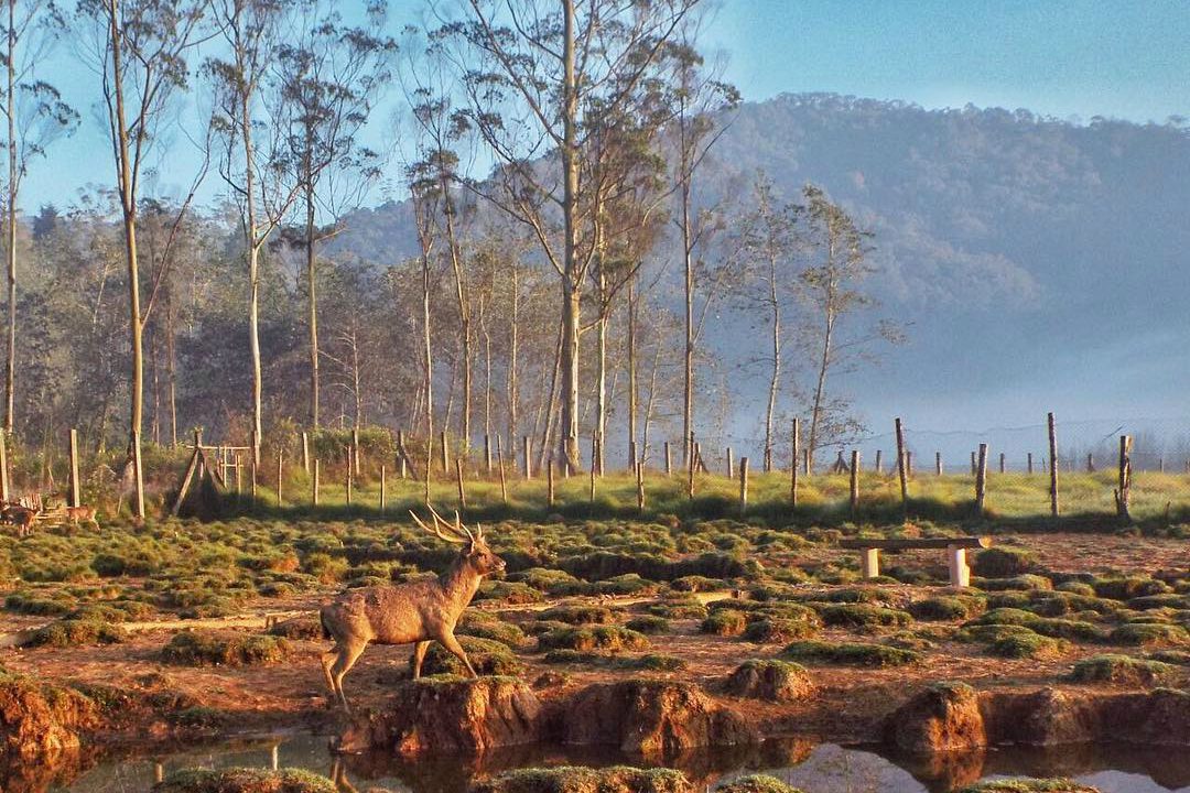 Destinasi Wisata Lebaran di bandung