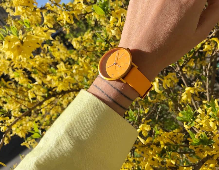 jam skagen aaren kulor