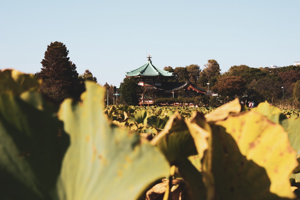 Tempat Wisata Tokyo Shinjuku