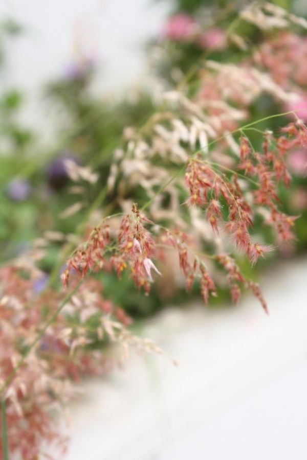 Itinerary Singapore 2 Hari 1 Malam