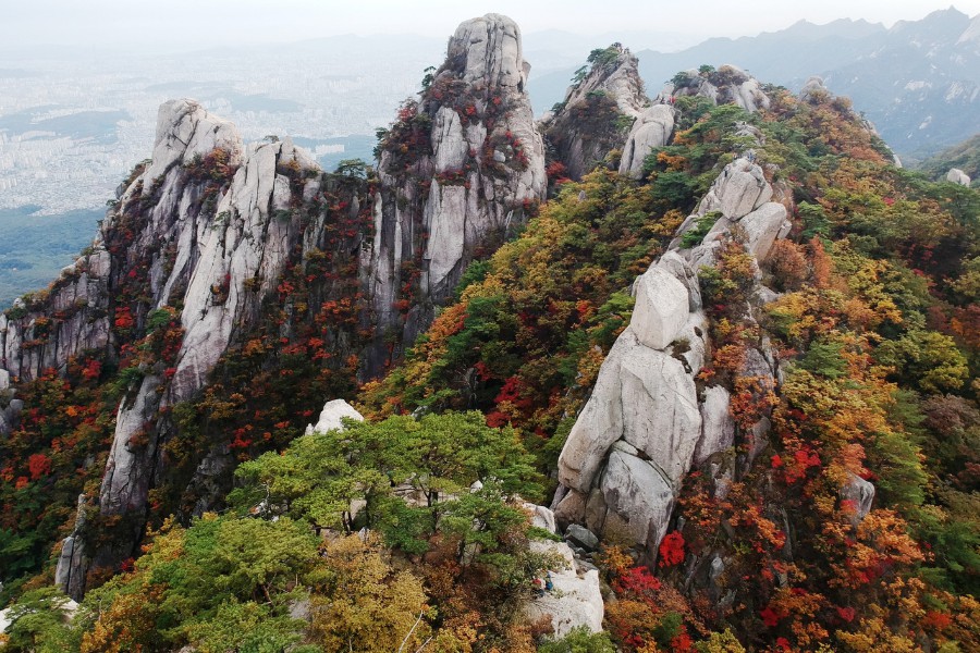 destinasi liburan musim gugur korea